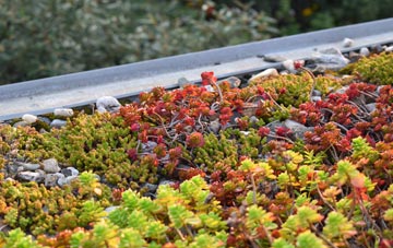 the cost of Wanswell green roof installation