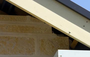 soffit repair Wanswell