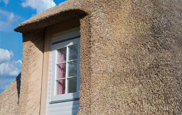 Wanswell thatch roof disadvantages